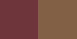 DALER ROWNEY AQUAFINE 2 MEDIOS GODETS VAN DYCK BROWN / RAW UMBER Nº 20