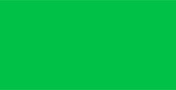 DALER ROWNEY GRADUATE ACRÍLICO LEAF GREEN Nº 355