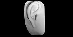 PLASTER BUST EAR