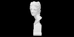 PLASTER BUST MEDICI VENUS