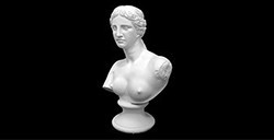 PLASTER BUST VENUS DE MILO