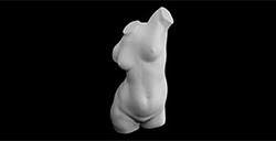 PLASTER TORSO TORSION
