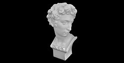 PLASTER BUST JULIANO MEDICI
