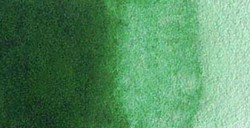 VAN GOGH ACQUERELLO MEZZO GODET HOOKER GREEN DEEP N. 645