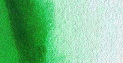 VAN GOGH ACQUERELLO MEZZO GODET PERMANENT GREEN N. 662