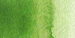 VAN GOGH ACQUERELLO MEZZO GODET SAP GREEN N. 623