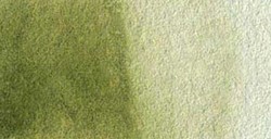 VAN GOGH ACQUERELLO MEZZO GODET OLIVE GREEN N. 620