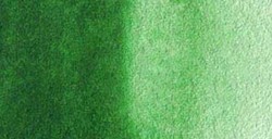 VAN GOGH ACQUERELLO TUBETTO 10 ML HOOKER GREEN LIGHT N. 644