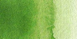 VAN GOGH ACQUERELLO TUBETTO 10 ML SAP GREEN N. 623