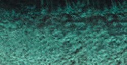 VAN GOGH ACQUERELLO TUBETTO 10 ML DUSK GREEN N. 630