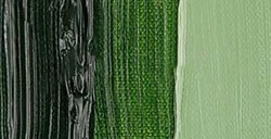 TALENS VAN GOGH PEINTURE À L'HUILE VERT DE VESSIE SÉRIE 1 Nº 623