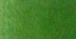 VALLEJO FLÜSSIGE AQUARELLFARBE GOLD GREEN 560