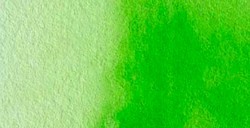 REMBRANDT ACQUERELLO MEZZO GODET PERMANENT YELLOWISH GREEN SERIE 2 N. 633
