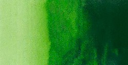 REMBRANDT ACUARELA TUBO VERDE VEJIGA SERIE 2 Nº 623