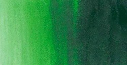 REMBRANDT ACUARELA TUBO VERDE HOOKER CLARO SERIE 2 Nº 644