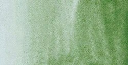 REMBRANDT ACQUERELLO TUBETTO GREEN EARTH SERIE 1 N. 629