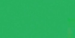 JAVANA PEINTURE SUR SOIE VERT RFA-K8106