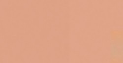 JAVANA PEINTURE SUR SOIE BEIGE RFA-K8199