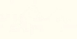 REMBRANDT PASTELLO WHITE 5