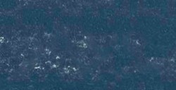 REMBRANDT PASTELLO PRUSSIAN BLUE 3