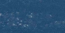 REMBRANDT PASTELLO PRUSSIAN BLUE 5