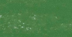 REMBRANDT PASTELLO OLIVE GREEN 5