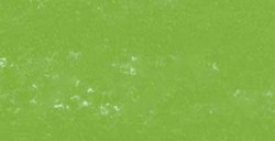 REMBRANDT PASTELLO OLIVE GREEN 7