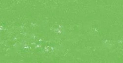 REMBRANDT PASTELLO OLIVE GREEN 8