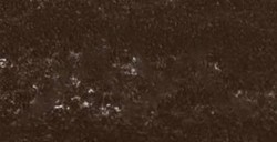 REMBRANDT PASTELLO RAW UMBER 5