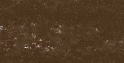 REMBRANDT PASTELLO RAW UMBER 7
