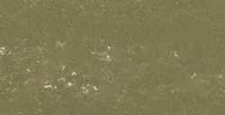 REMBRANDT PASTELLO RAW UMBER 9