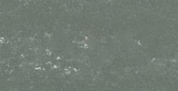 REMBRANDT PASTELLO GREY 7