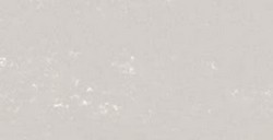 REMBRANDT PASTELLO GREY 9