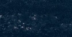 REMBRANDT PASTELLO BLUISH GREY 3