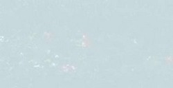 REMBRANDT PASTELLO BLUISH GREY 10