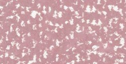 REMBRANDT SOFT PASTEL MARS VIOLET 8