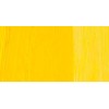 REMBRANDT COLORI AD OLIO CADMIUM YELLOW MEDIUM SERIE 4 N. 271
