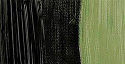 REMBRANDT COLORI AD OLIO OLIVE GREEN SERIE 2 N. 620