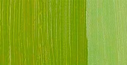 REMBRANDT COLORI AD OLIO CINNABAR GREEN LIGHT SERIE 2 N. 626