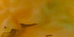 GALLERY GLASS BRUN CLAIR