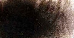 CALIGO ENCRE TAILLE-DOUCE SÉPIA (PBK 7 PBR 7/MÉLANGE-TERRES/***/ST)