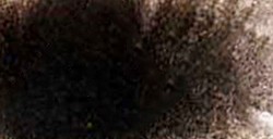 CALIGO ENCRE ÉCOLOGIQUE LINOGRAVURE/XYLOGRAPHIE TERRE D'OMBRE NATURELLE (Y42 - PBR 7 - PW 18/MÉLANGE-TERRES-NATURELLES/***/SO)