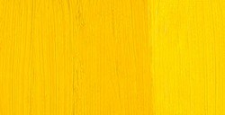 OLD HOLLAND CLASSIC OIL PAINT CADMIUM YELLOW MEDIUM SERIES D NO. 013