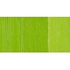 OLD HOLLAND CLASSIC COLORI AD OLIO CINNABAR GREEN LIGHT EXTRA SERIE D3 N. 043