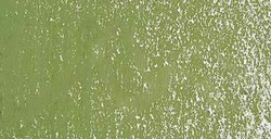 SCHMINCKE PASTELLO BOHEMIAN GREEN 083 D