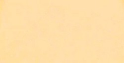 PANPASTEL 280.8 ORANGE PÂLE