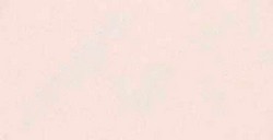 PANPASTEL 740.8 SIENA TOSTADA TONO