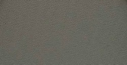 PANPASTEL 820.5 GRIS NEUTRE