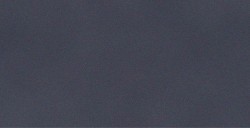 PANPASTEL 013 MEDIUM NERO FINO PERLESCENTE