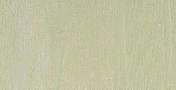 LIQUITEX HEAVY BODY COLORI ACRILICI DENSI - PARCHMENT SERIE 1 N. 436